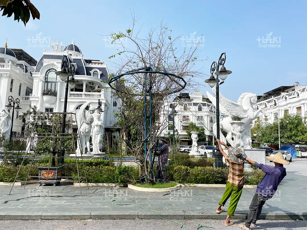 cắt tỉa cây xanh